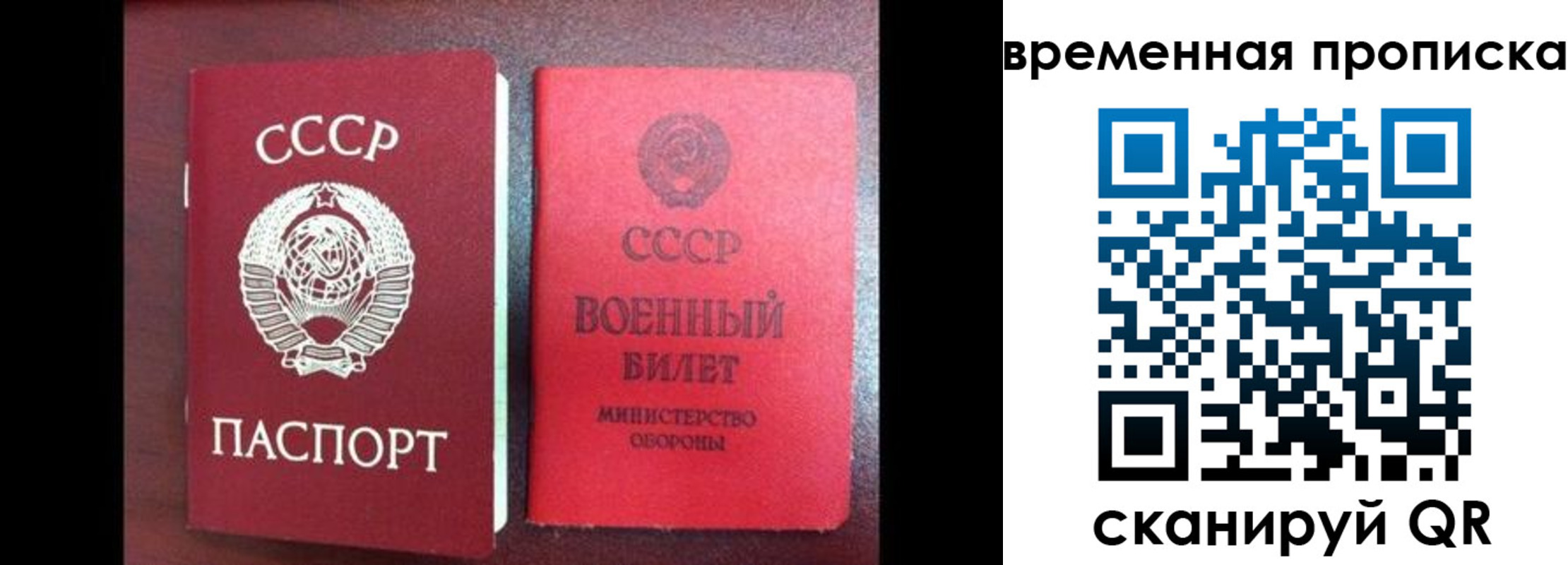 регистрация в Воронежской области